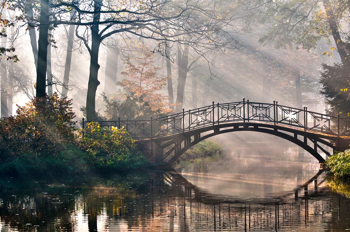 Fototapeten Reflexion der Brücke im Forest River