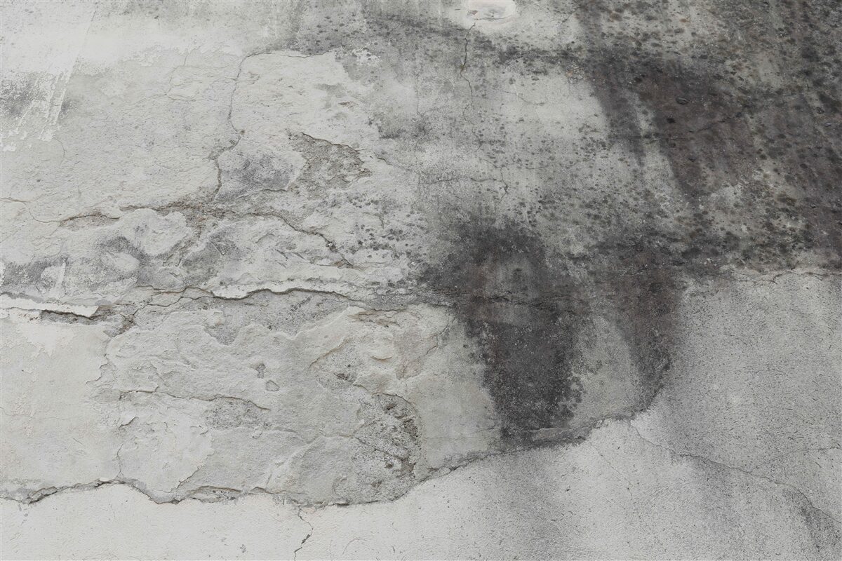 Fototapeten graue Textur des Mülls