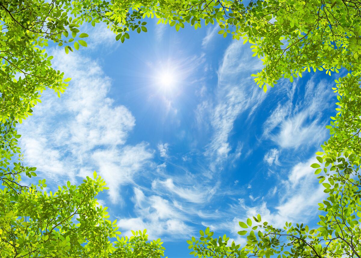 Fototapeten Grün, in dem die Sonne und Blau des Himmels begraben sind