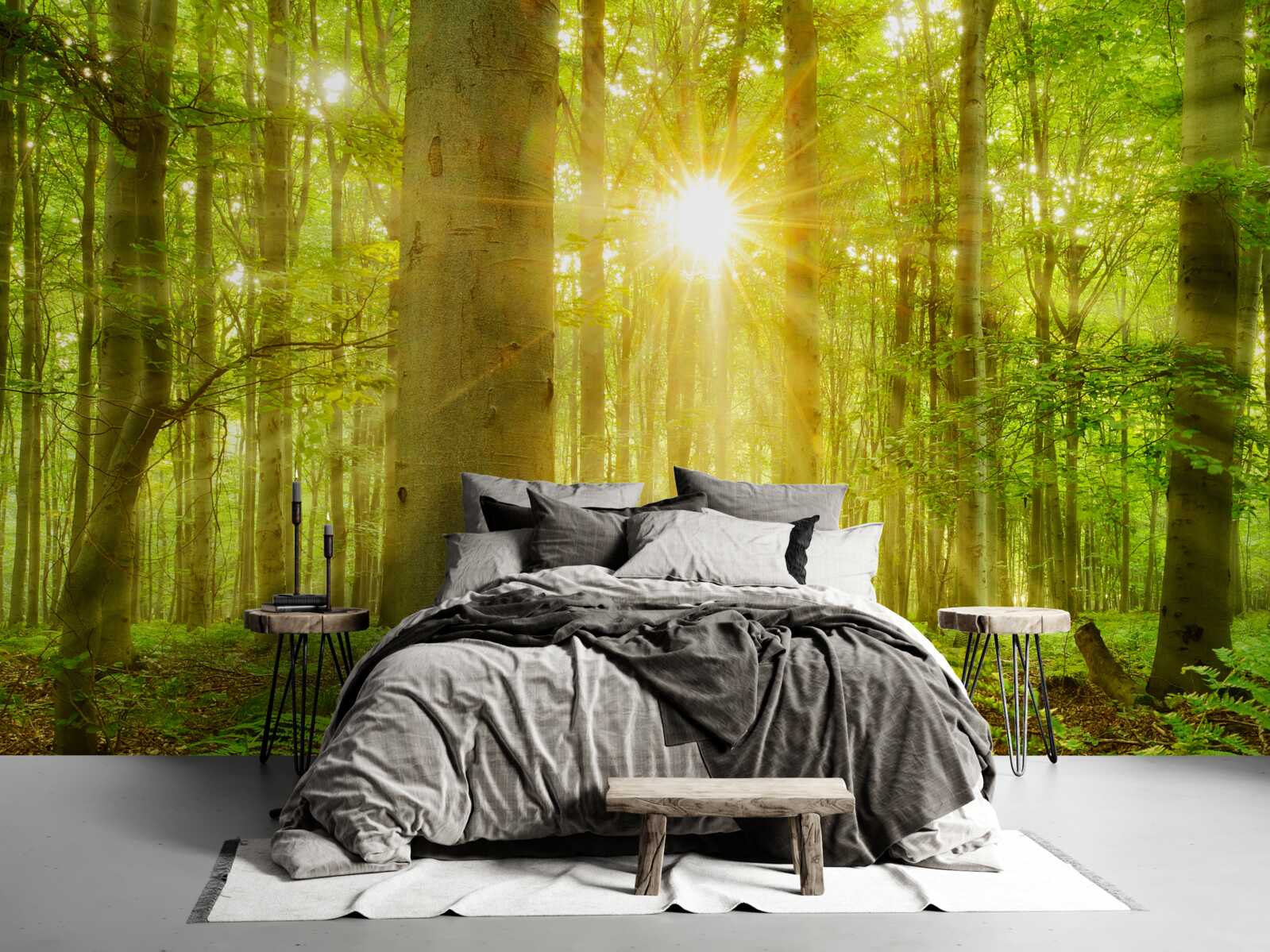 Fototapeten Sonnenlicht im Buchenwald