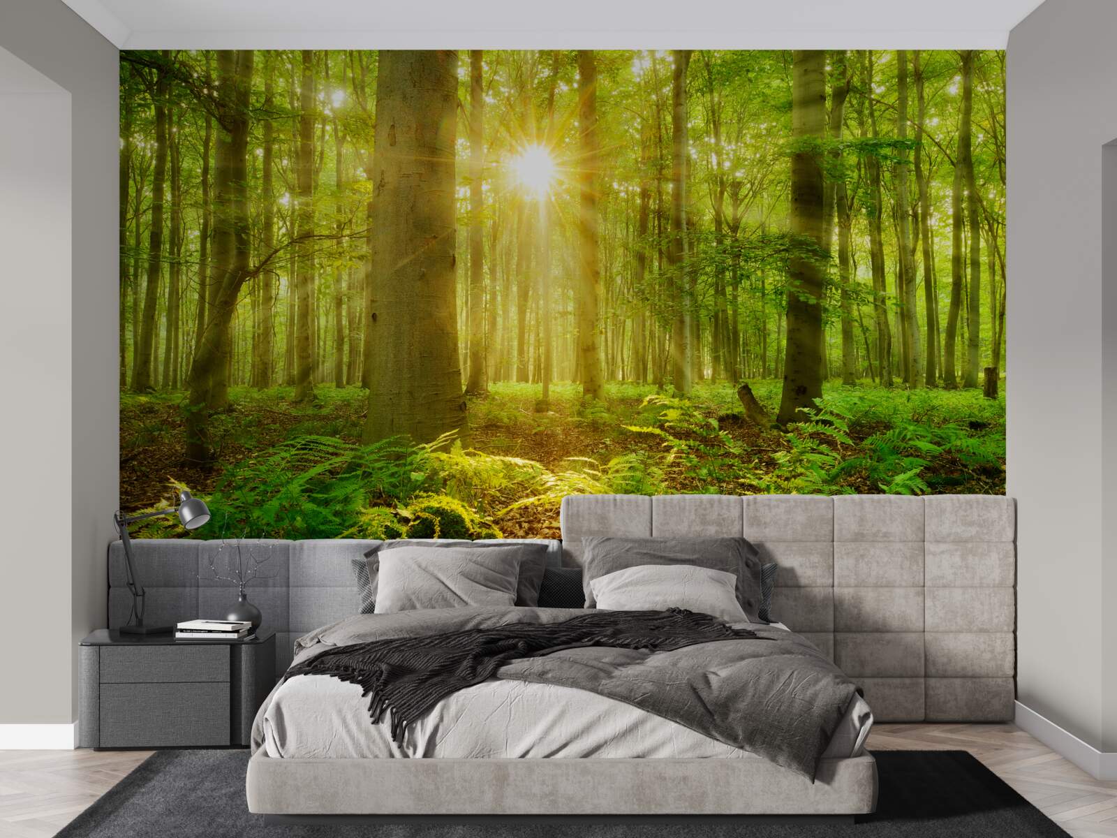 Fototapeten Der Wald lebt in den Morgenstrahlen der Sonne