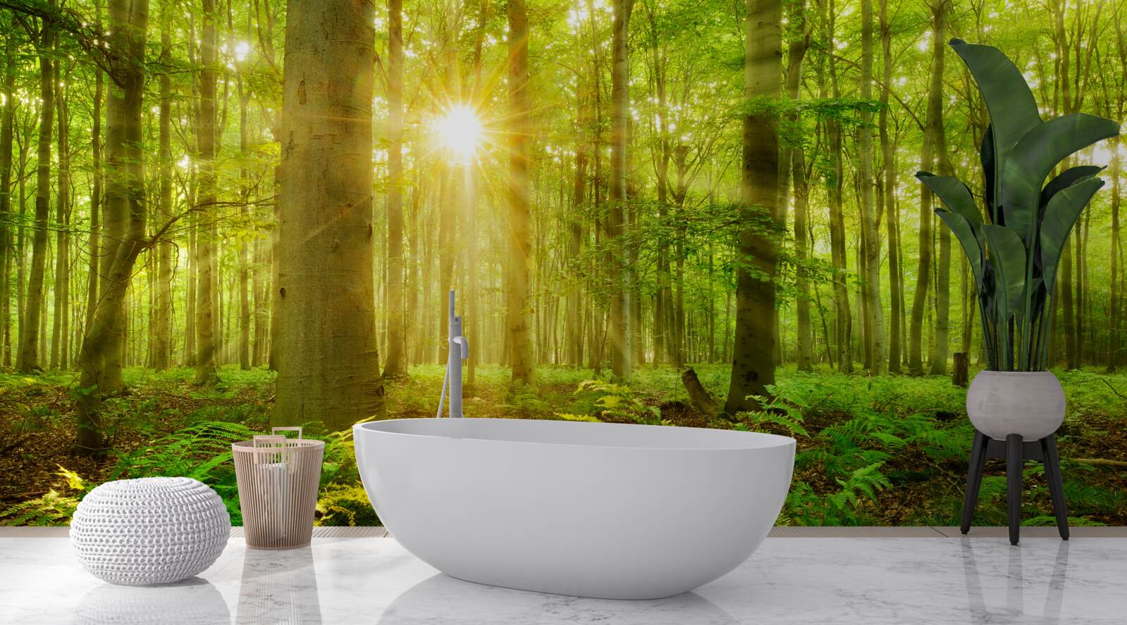 Fototapeten Der Wald lebt in den Morgenstrahlen der Sonne