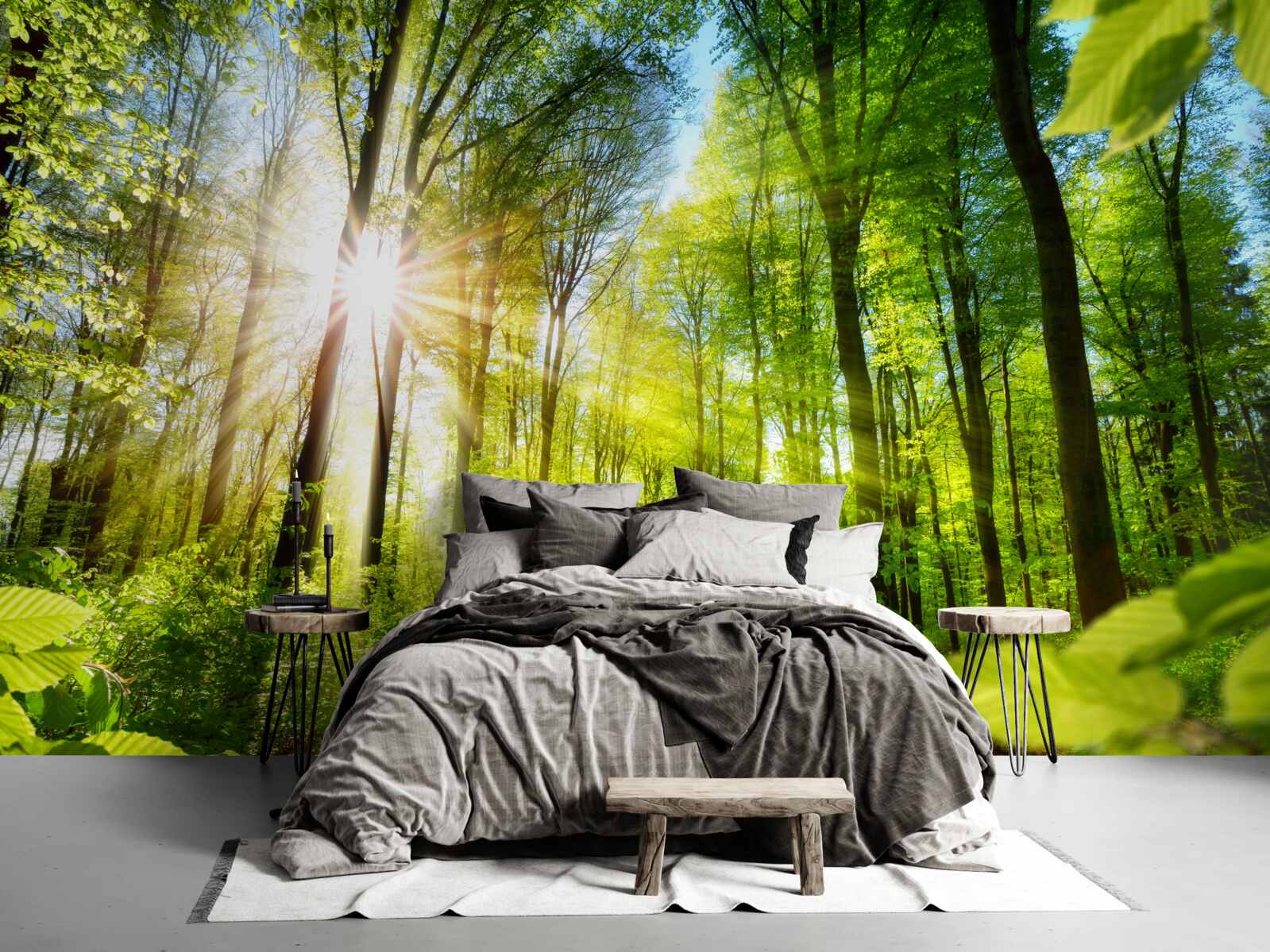 Fototapeten Morgenstrahlen der Sonne im grünen Wald