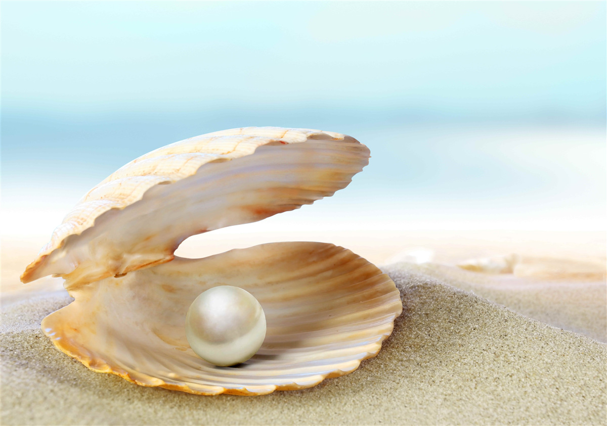 Fototapeten Perle in einer Muschelschale an der Küste