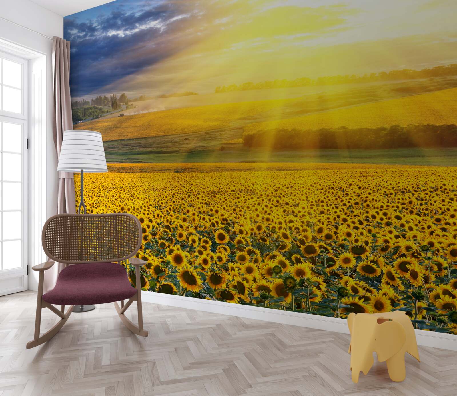 Fototapeten Die Sonne ist voller Klarheit über dem Feld der üppigen Sonnenblumen