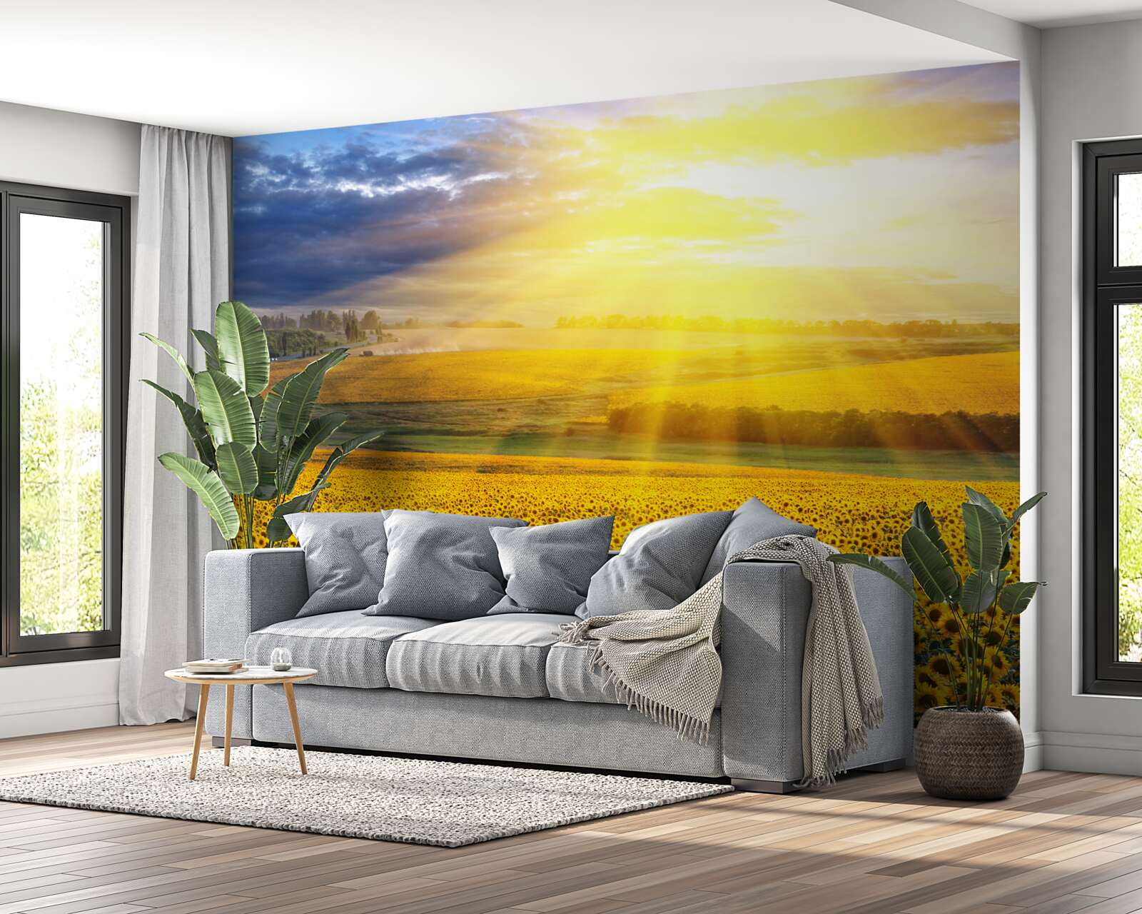 Fototapeten Die Sonne ist voller Klarheit über dem Feld der üppigen Sonnenblumen