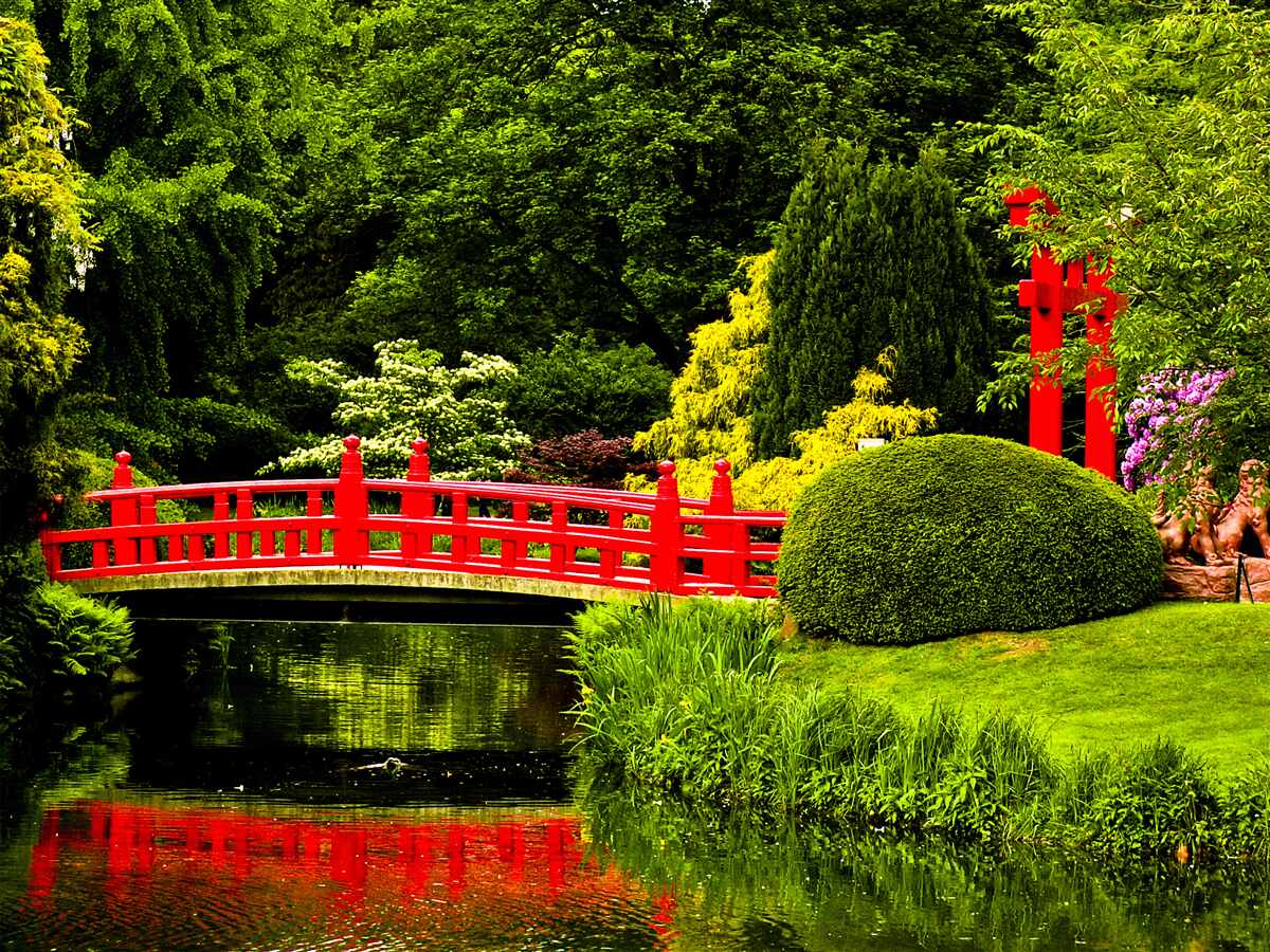 Fototapeten Rote Brücke im japanischen Garten