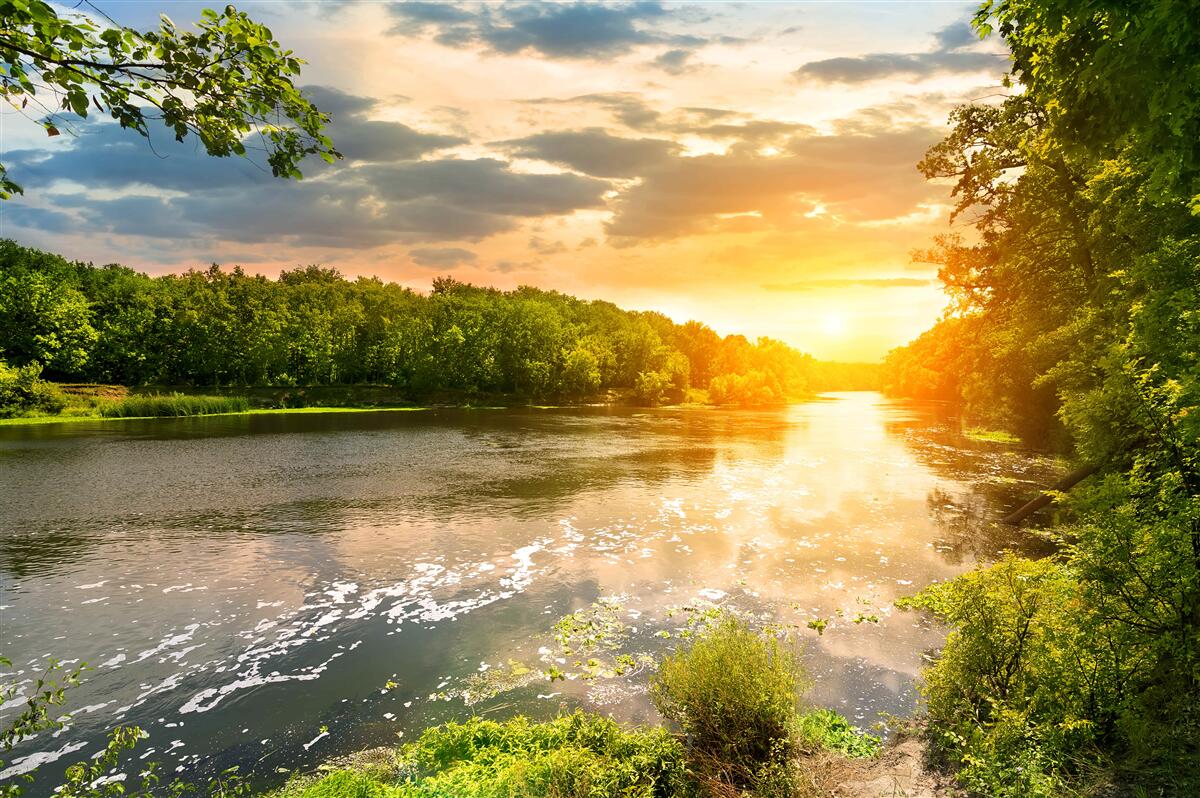 Fototapeten Die untergehende Sonne erwärmt den Forest River sanft