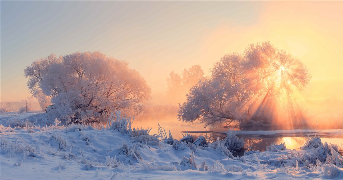 Fototapeten Wintermorgen in Mroza