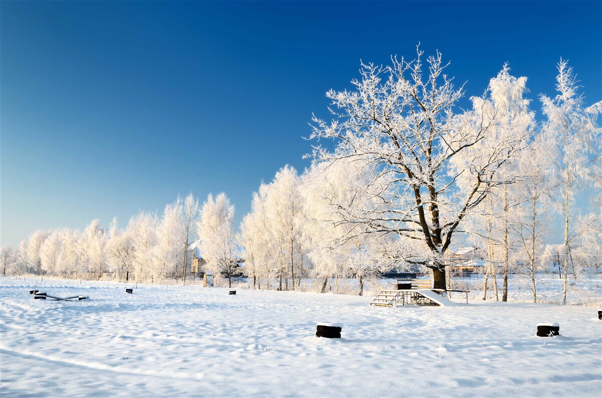 Fototapeten Märchenwinter auf dem Hintergrund des Azure -Himmels