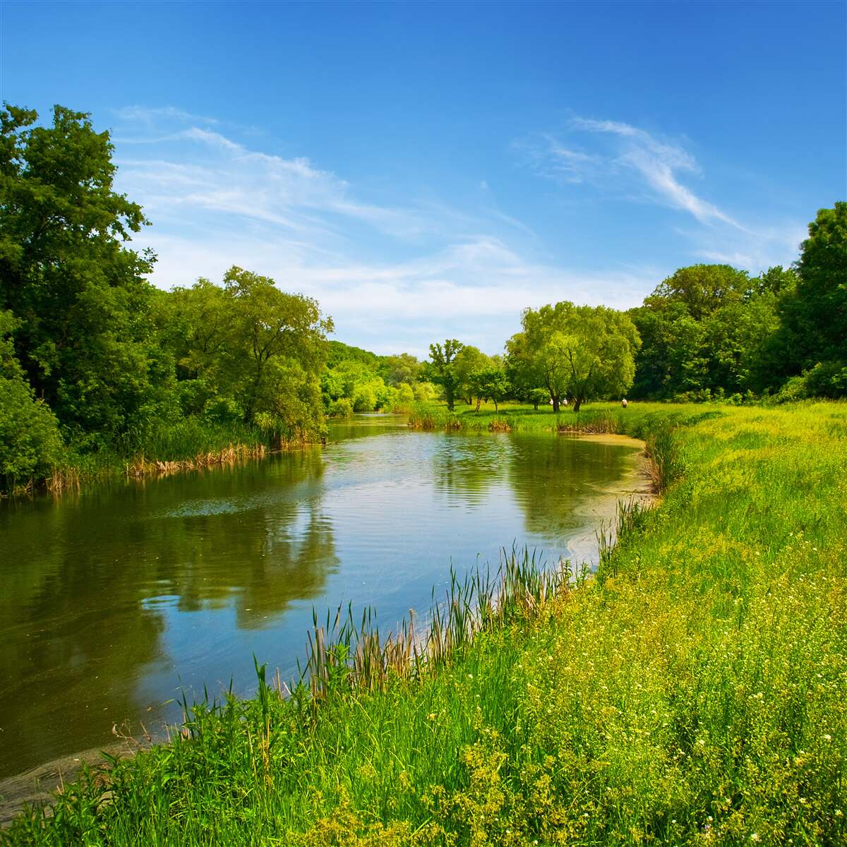Fototapeten Grüne Wiese, durch die ruhiges Wasser fließt