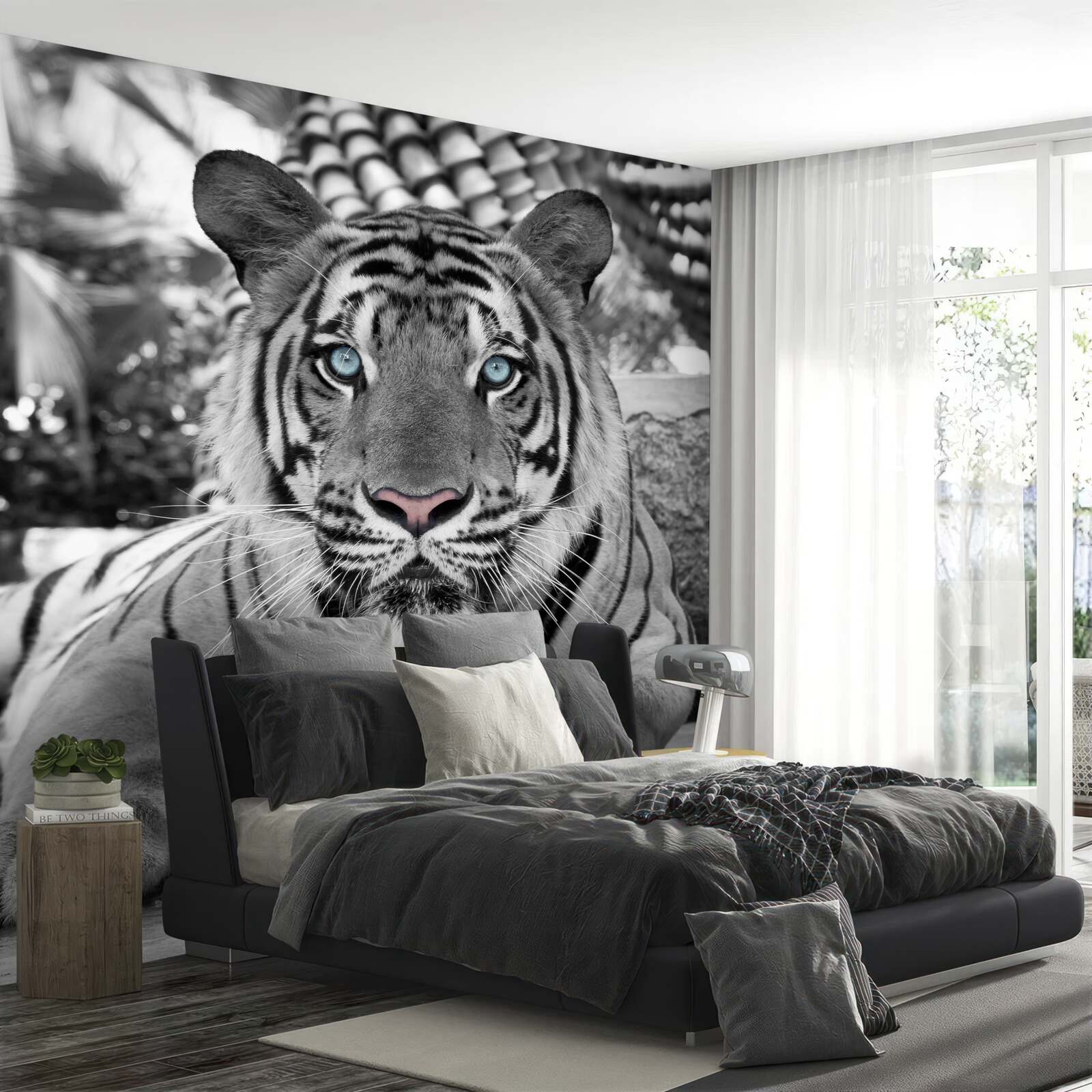 Fototapeten Schwarz -Weiß -Tiger mit schönen blauen Augen