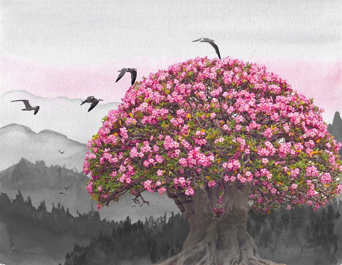 Fototapeten Vögel fliegen über einen blühenden Baum