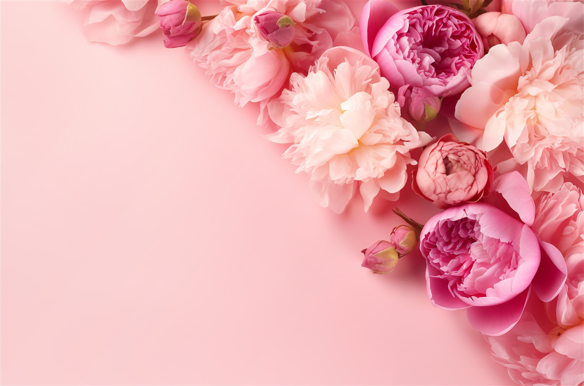Fototapeten Verschiedene rosa Blumen gegen den gleichen Schatten