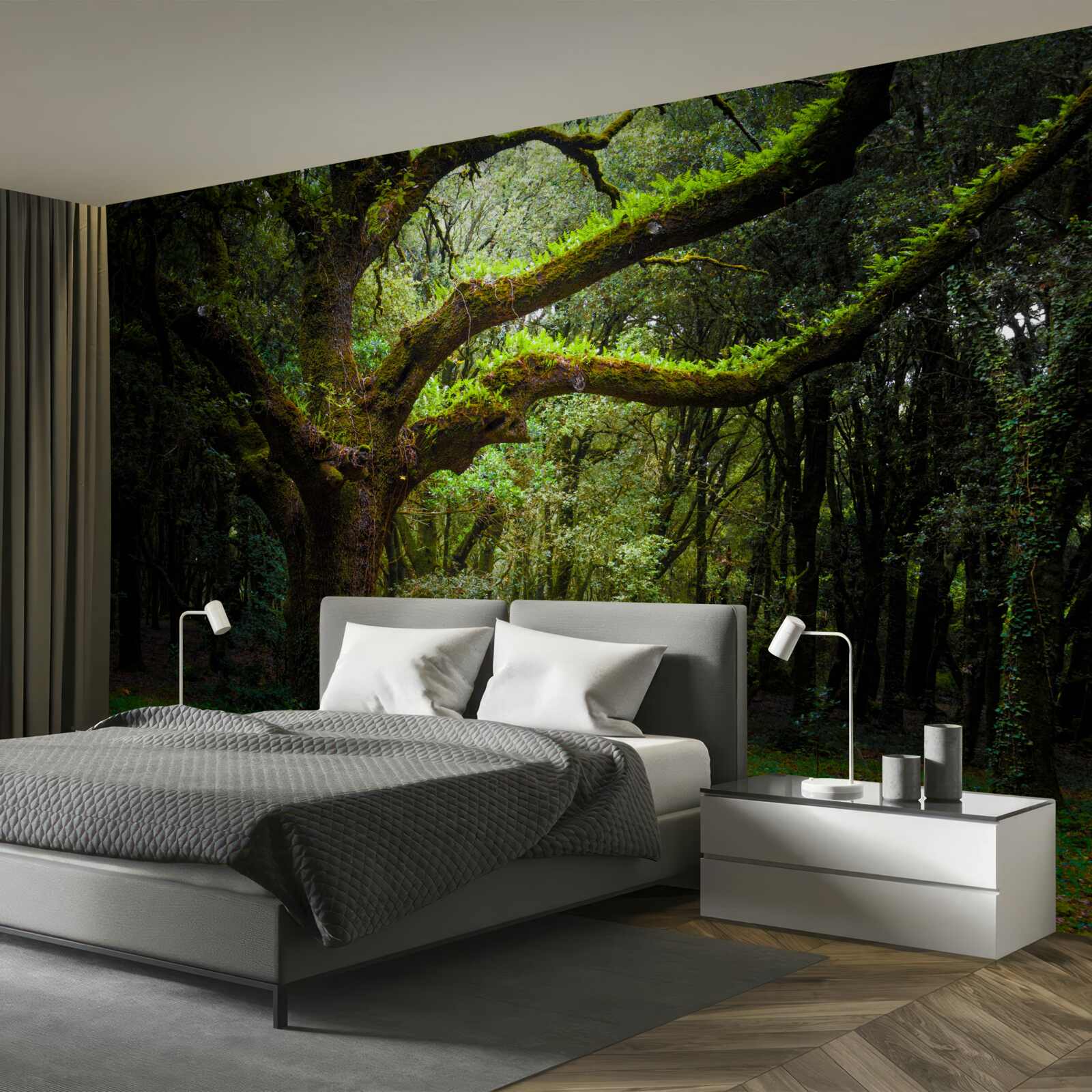 Fototapeten Zotteliger alter Wald mit dichten Bäumen