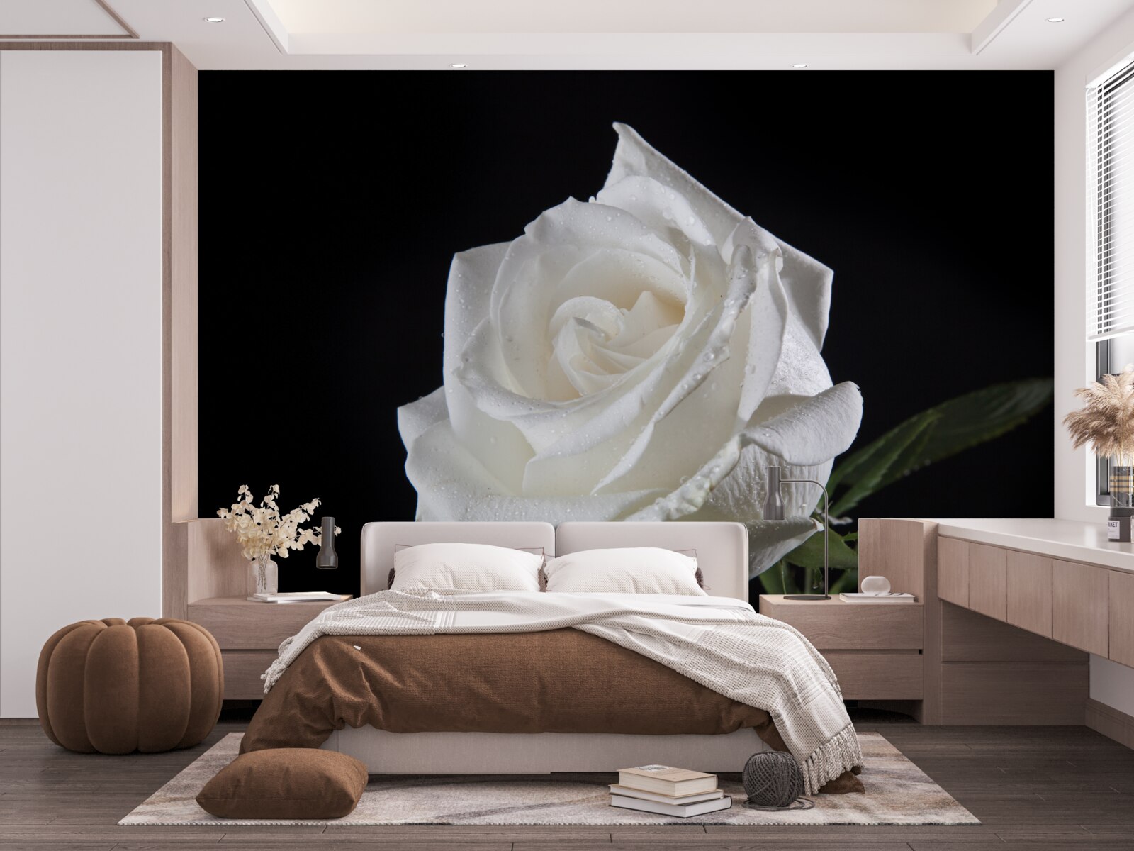 Fototapeten Der schwarze Hintergrund betont das Weiß der Rose