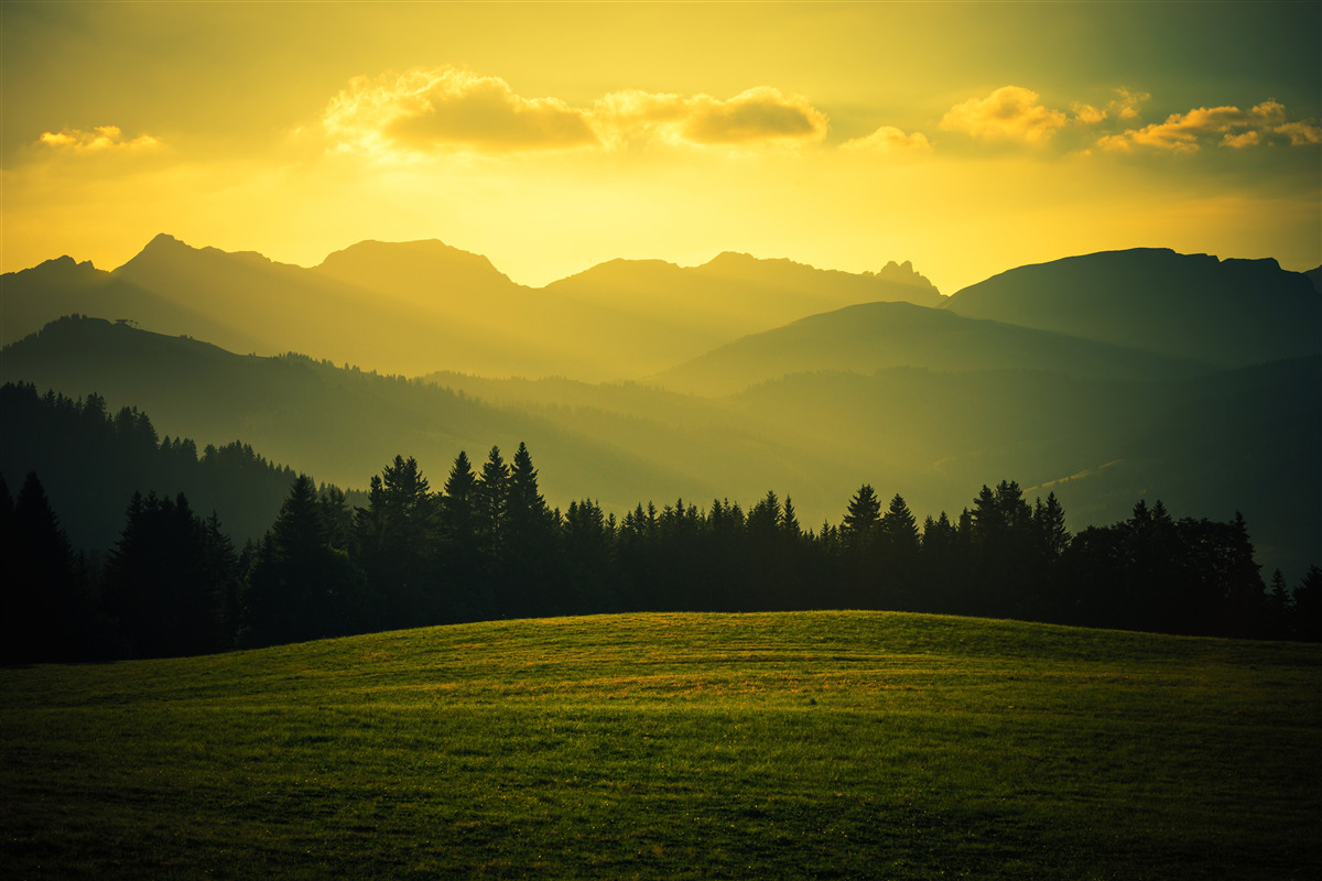 Fototapeten Erstaunlicher gelber Sonnenuntergang in einem rauchigen Bergwald