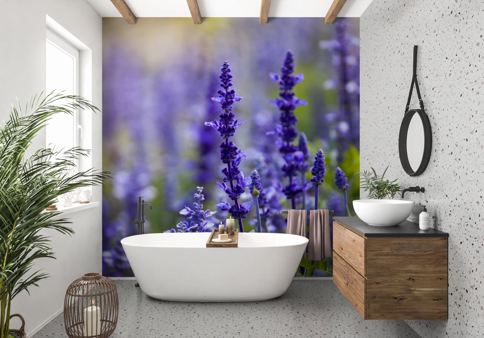 Fototapeten Lila Lavendel -Makrofotografie