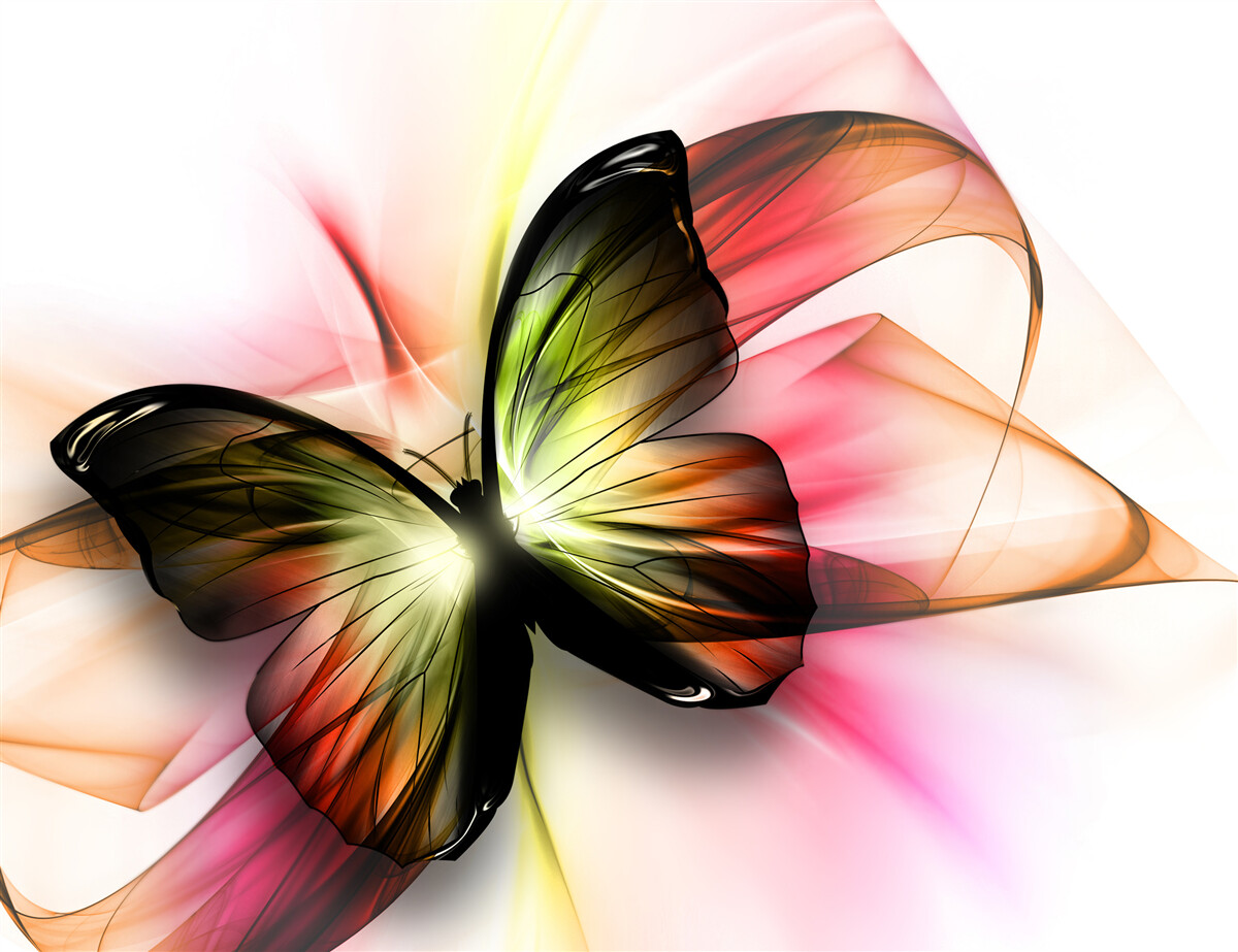 Fototapeten Ein wunderschöner Schmetterling schwebt anmutig in der Luft