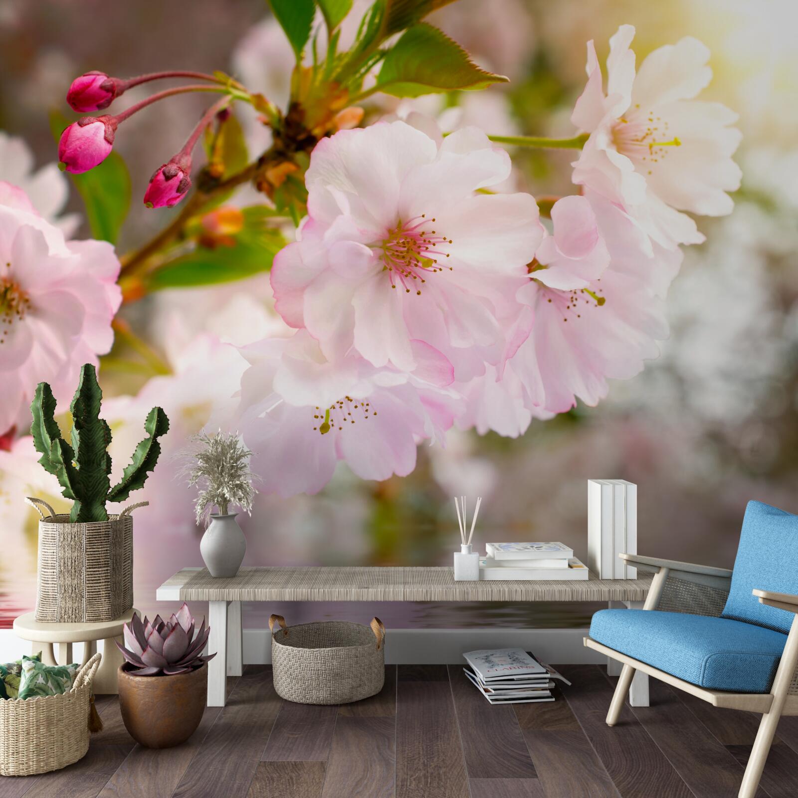 Fototapeten Kirschzweige mit rosa Blumen hängen über dem Wasser