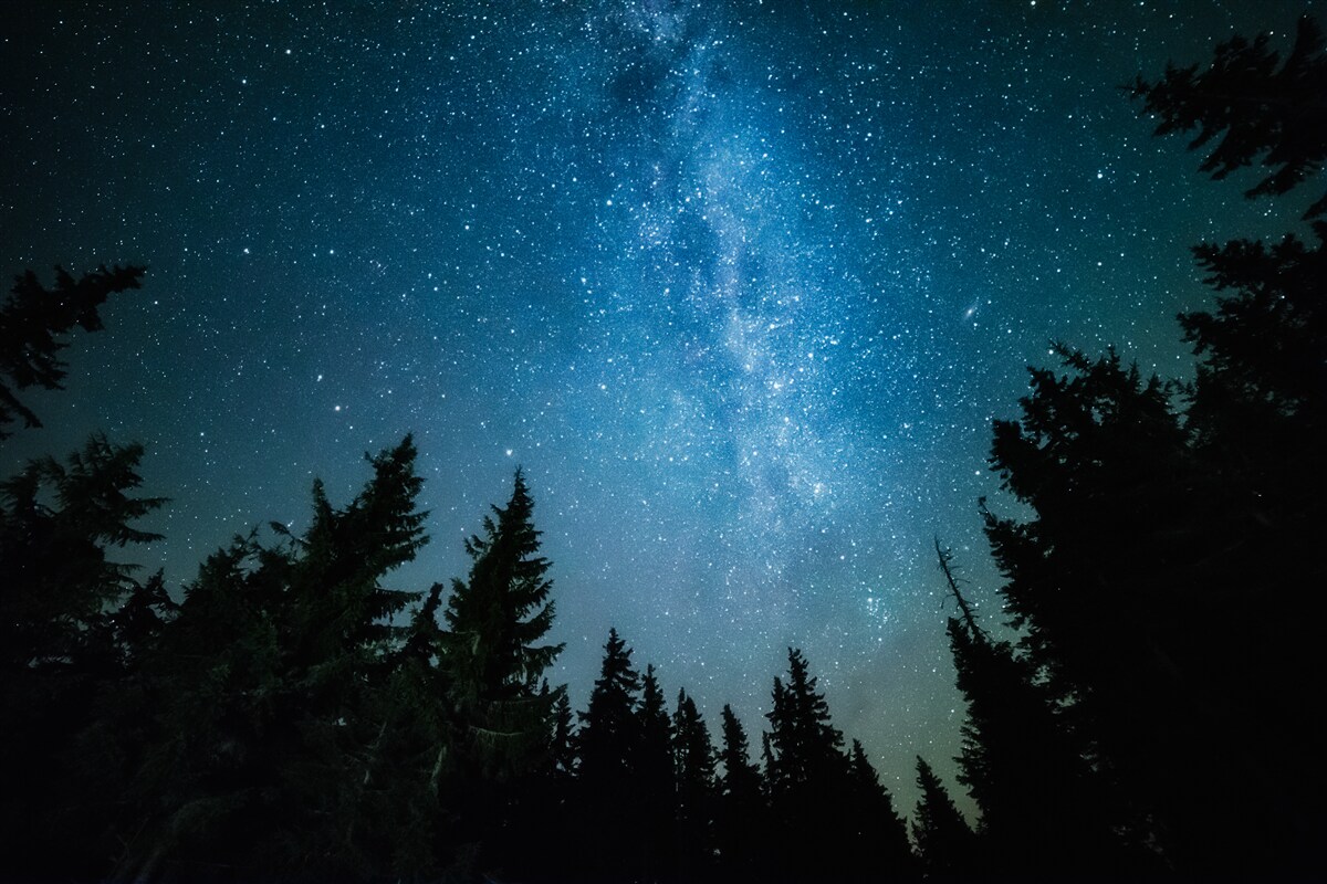 Fototapeten Weg zwischen Sternen in einem dunklen Wald