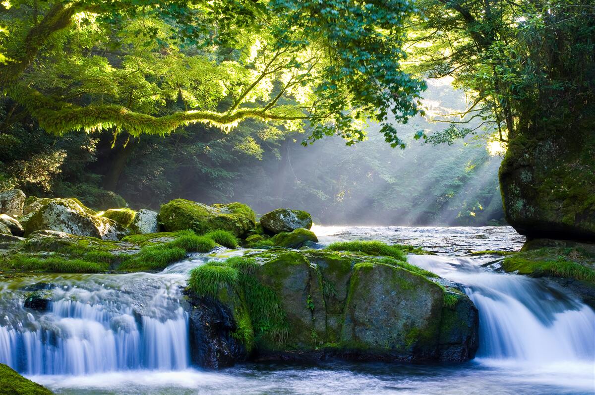 Fototapeten Die Sonnenstrahlen erreichen den Waldwasserfall
