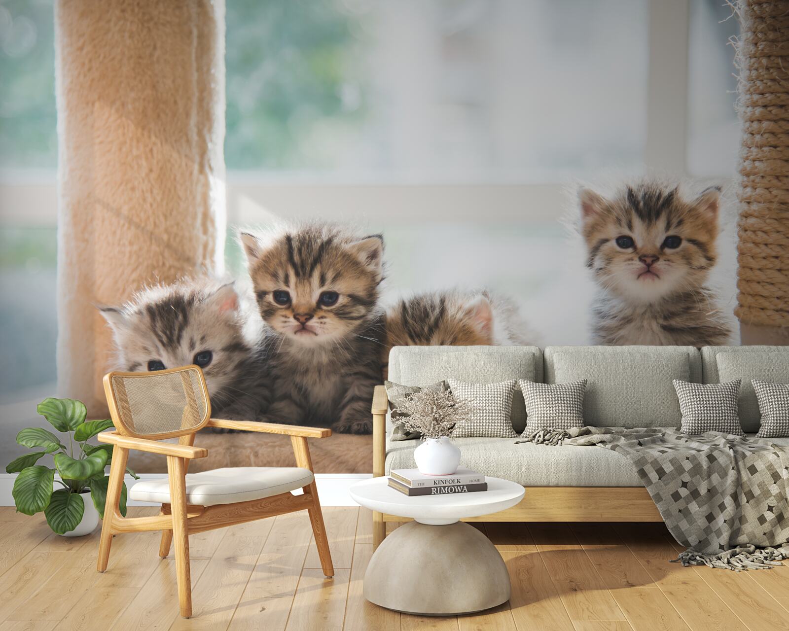 Fototapeten Kleine Katzen suchen eine Mutter