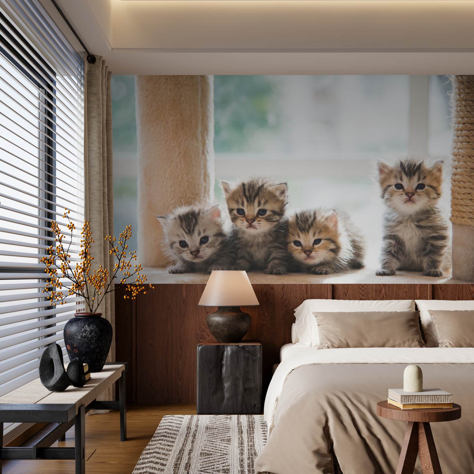 Fototapeten Kleine Katzen suchen eine Mutter
