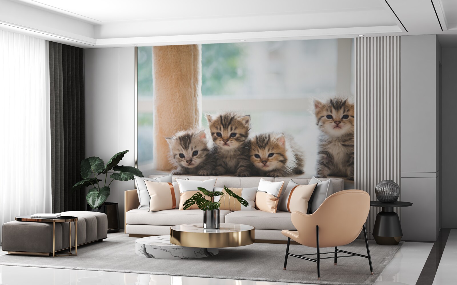 Fototapeten Kleine Katzen suchen eine Mutter