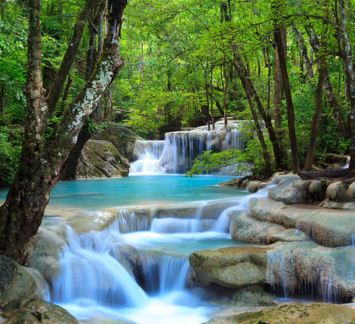 Fototapeten Wasserfall fließt mit Kaskaden in einem dichten grünen Wald