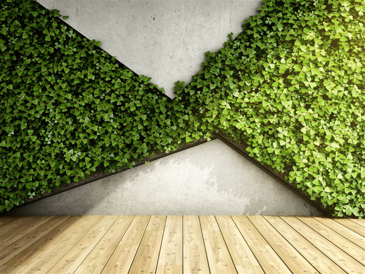 Fototapeten Auf dem Boden das Parquet und die Wand mit lebenden Pflanzen dekoriert