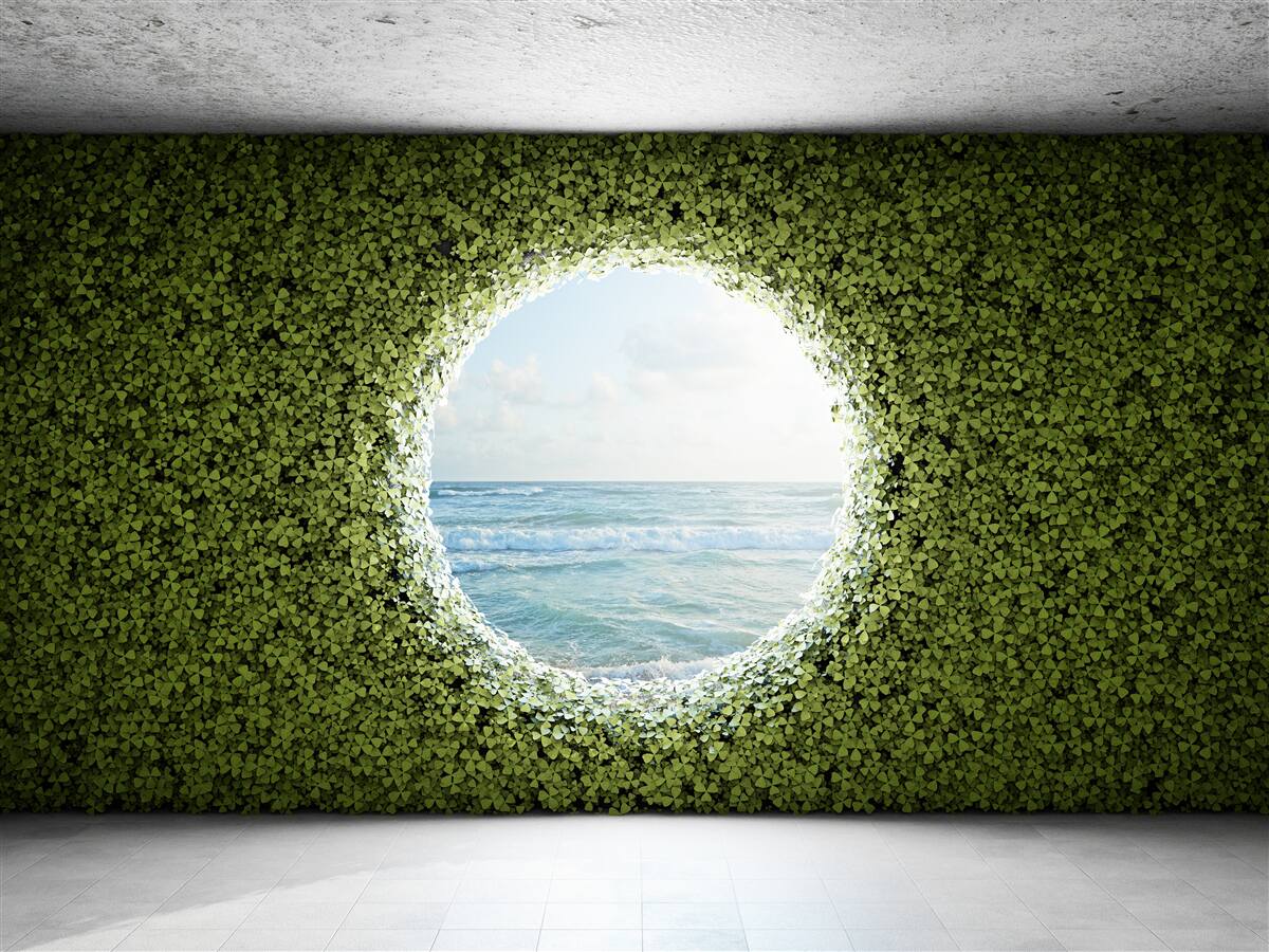 Fototapeten Wand aus grünen Pflanzen mit einer runden Öffnung