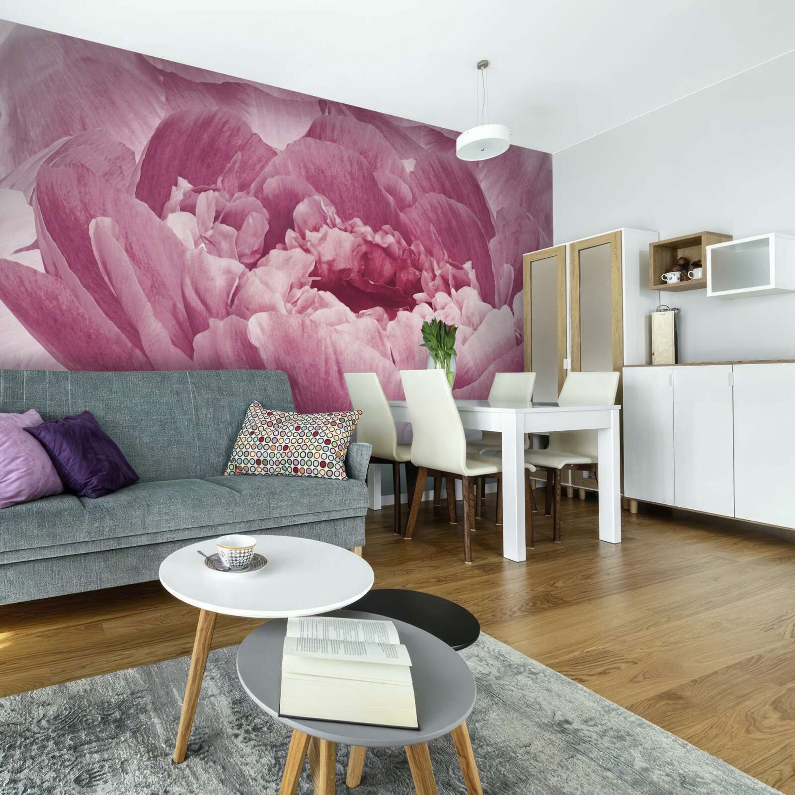 Fototapeten Schwere rosa Asterblume