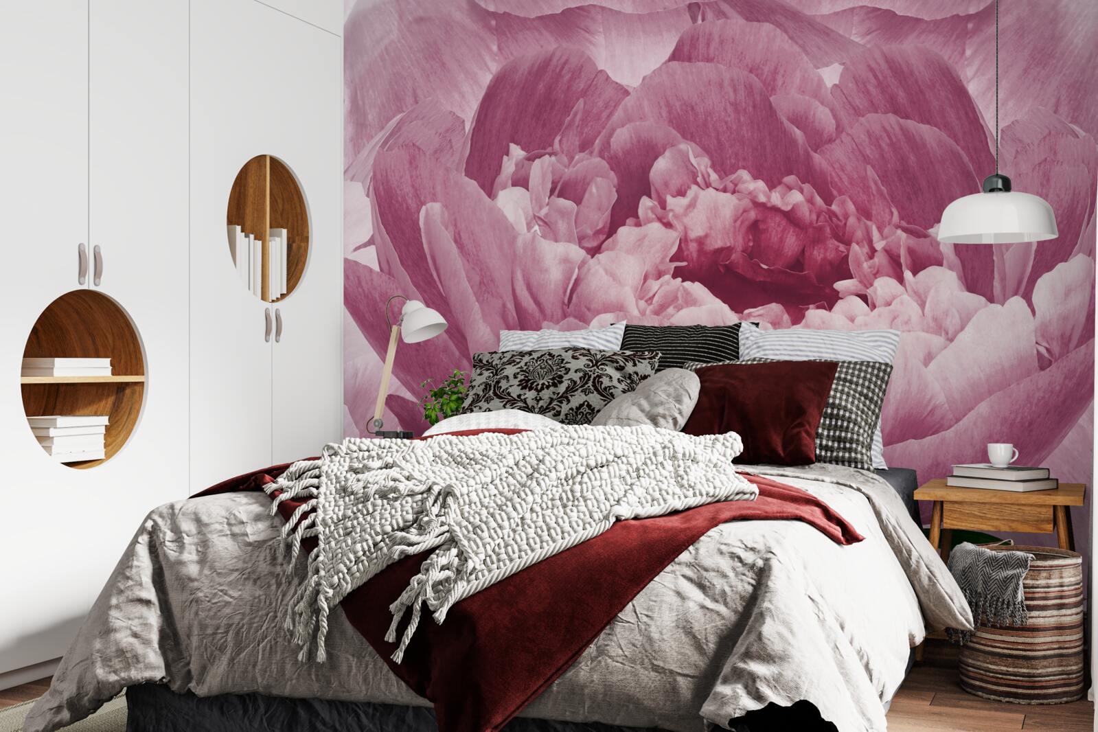 Fototapeten Schwere rosa Asterblume