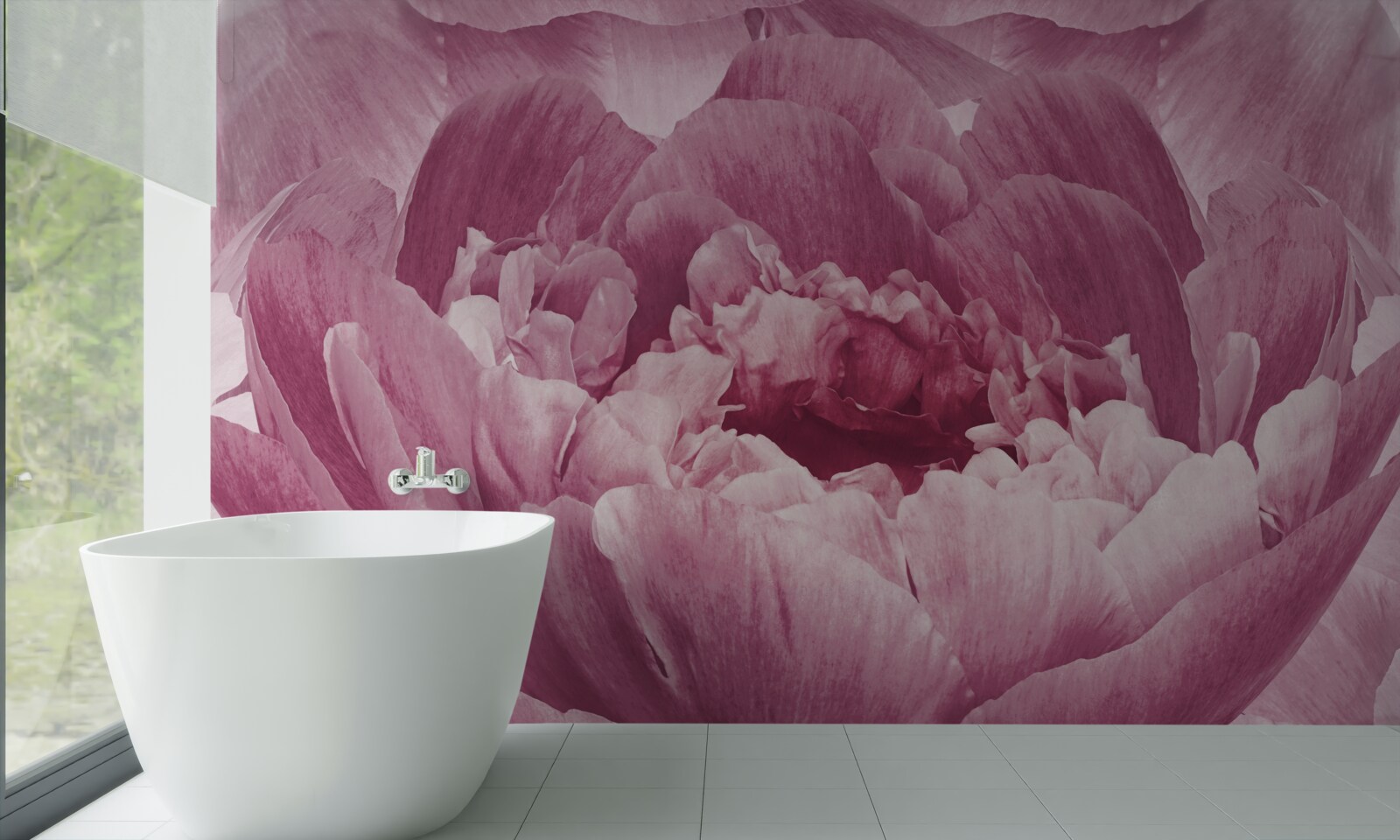 Fototapeten Schwere rosa Asterblume