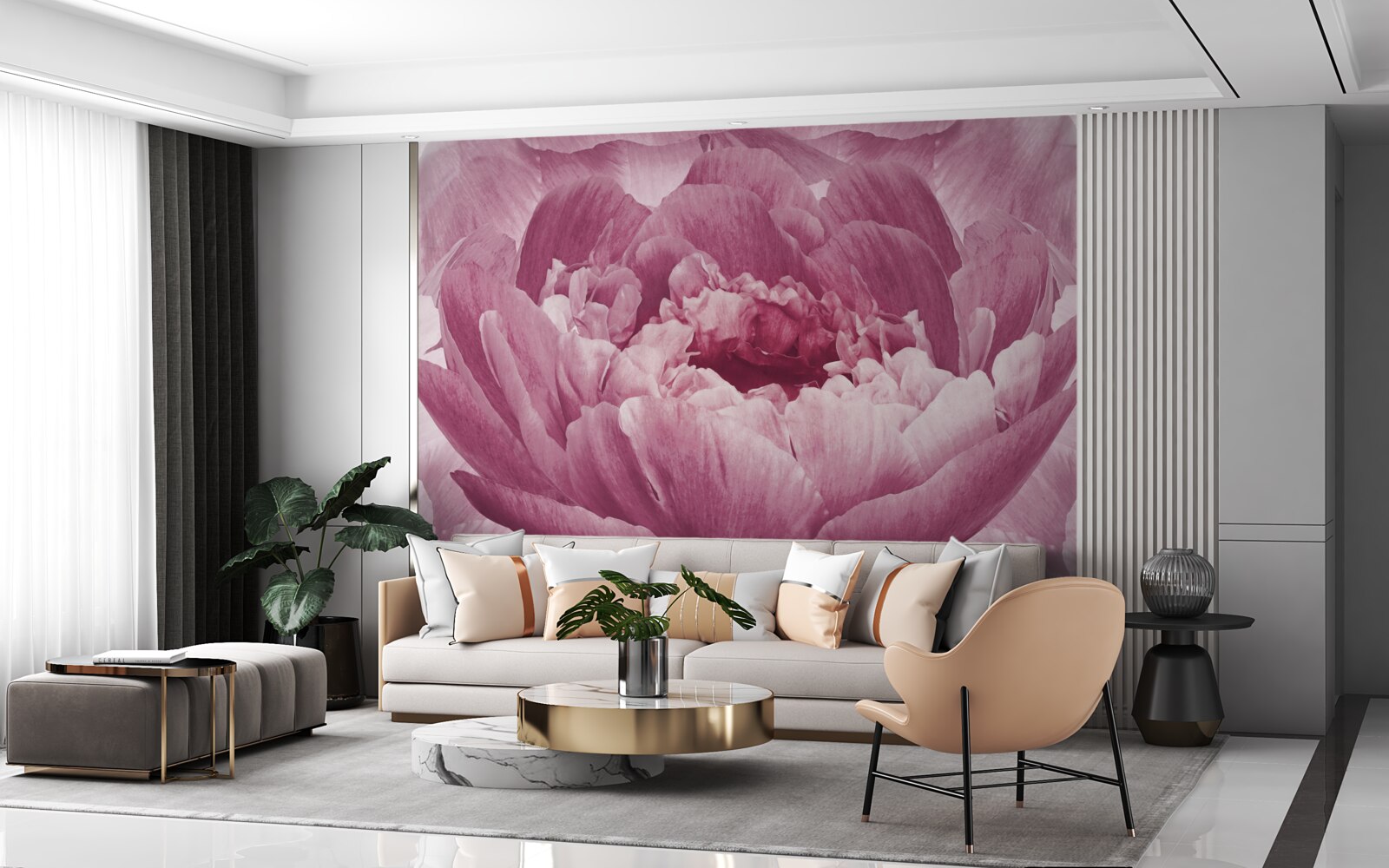 Fototapeten Schwere rosa Asterblume