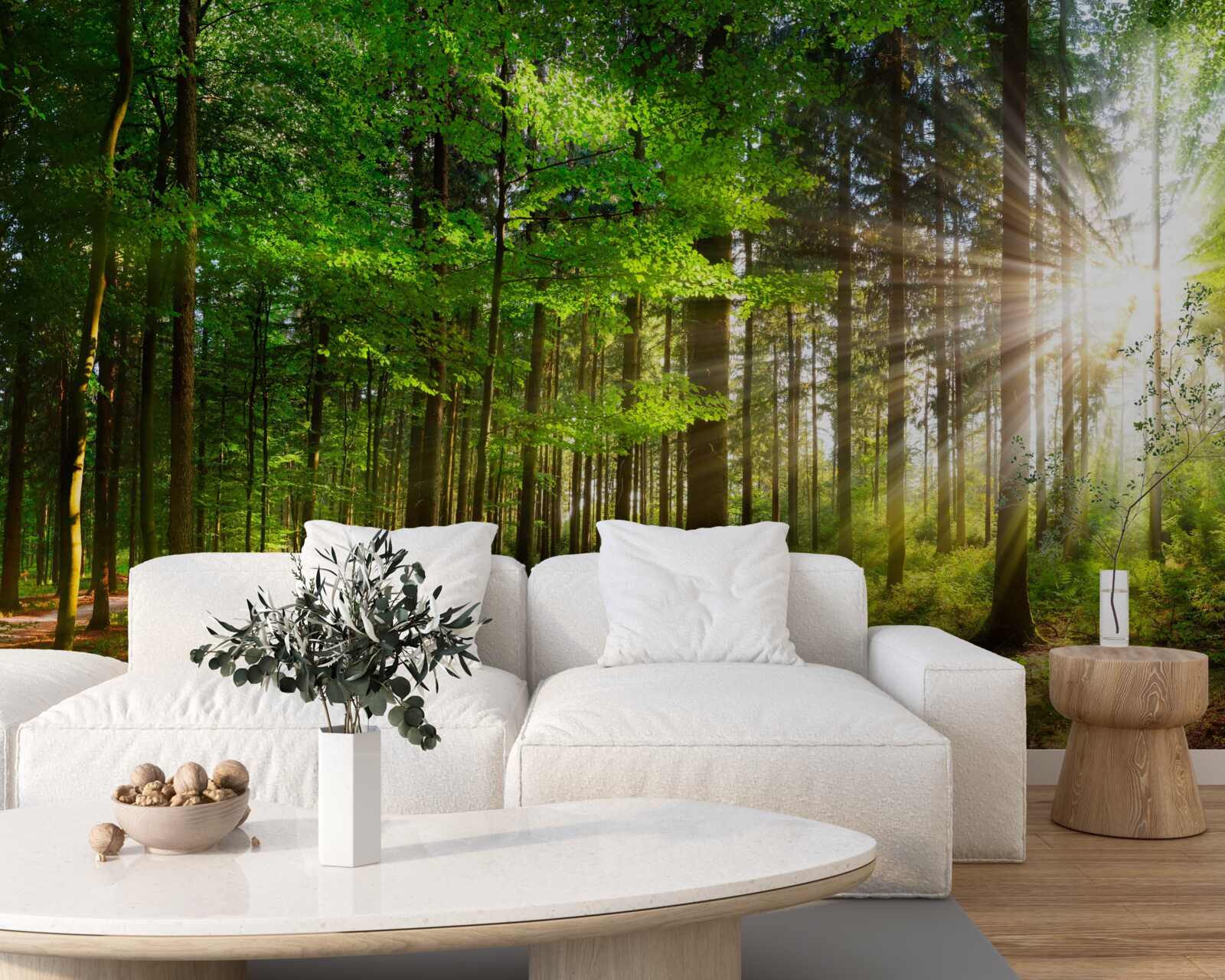 Fototapeten Helle Sonne im Wald mit grünen Blättern bedeckt