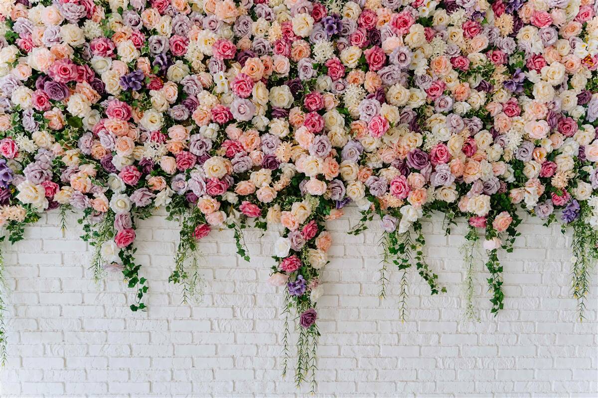 Fototapeten Ziegelmauer mit Blumen eines Rosenbusches dekoriert