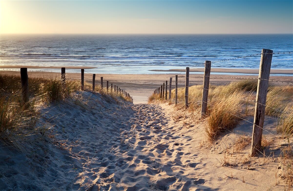 Fototapeten Pazifischer Ozean und ein Strand mit feinem Sand