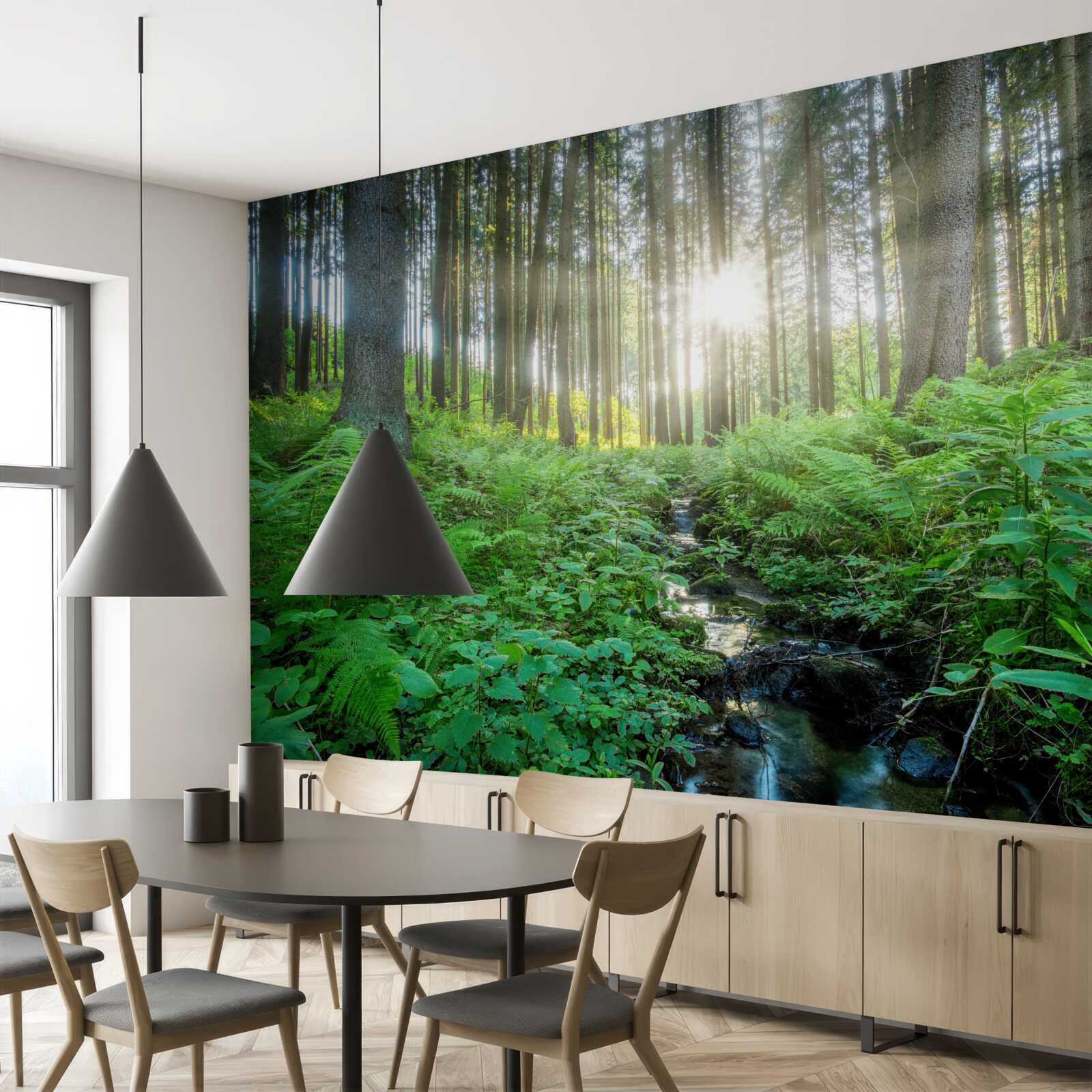 Fototapeten Die Sonnenstrahlen durchdringen durch einen dichten Wald
