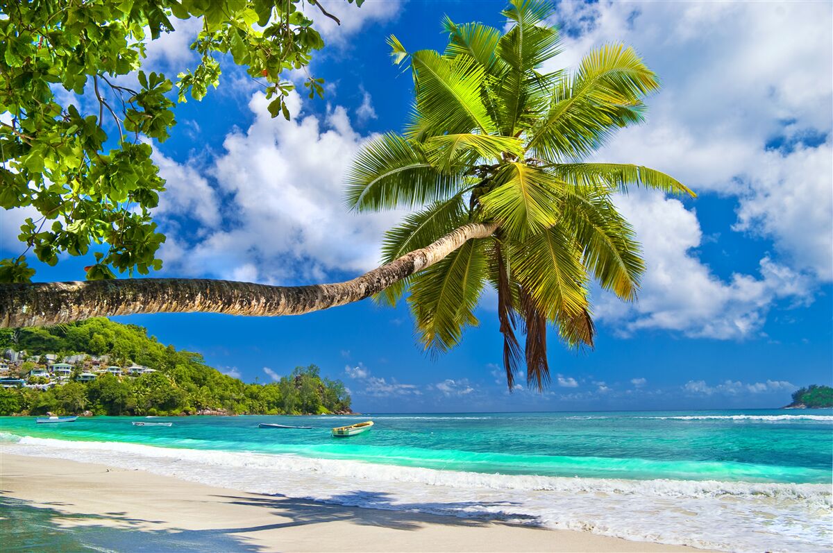 Fototapeten Faszinierende Natur der Seychellen