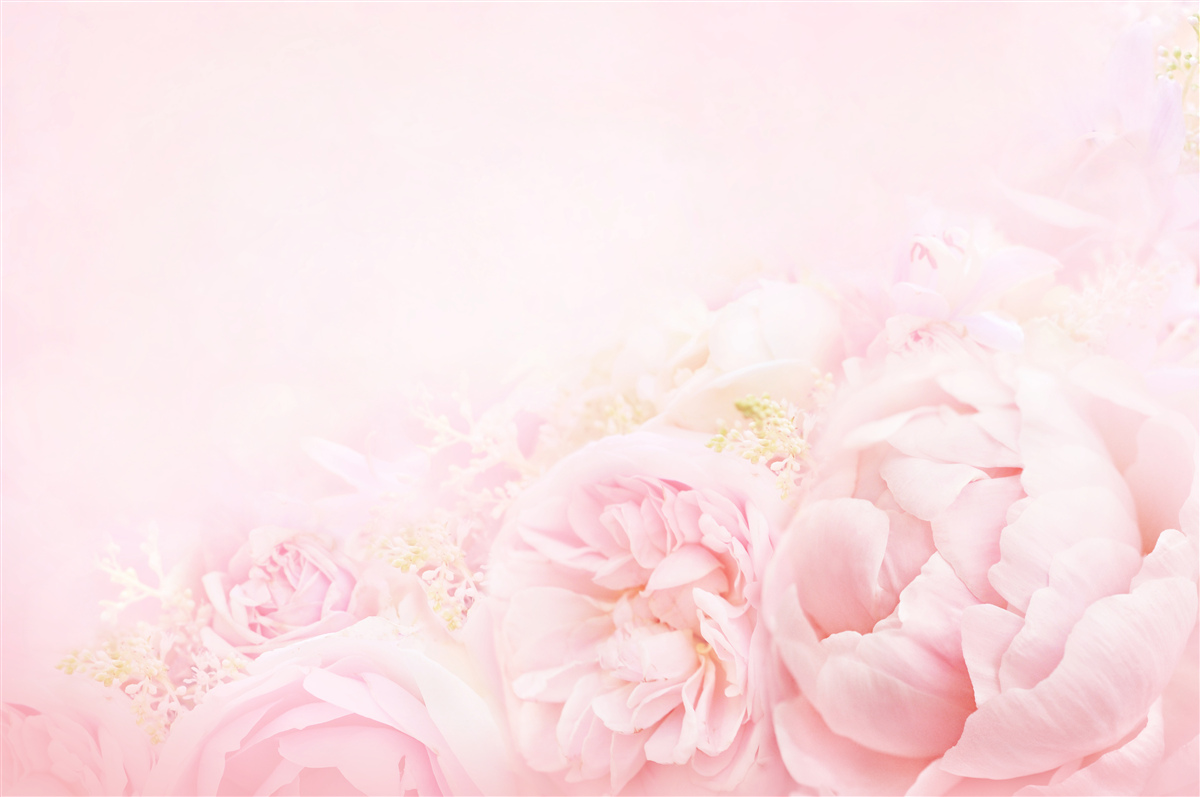 Fototapeten Rose mit rosa Pfingstrosen -fehlgeschlagene Flocken