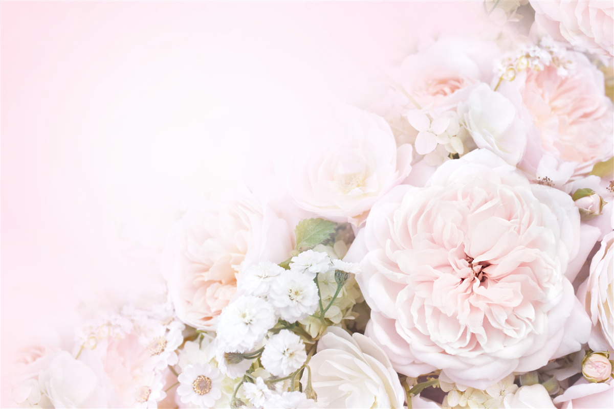 Fototapeten Der helle Hintergrund ist mit zarten Blumen dekoriert