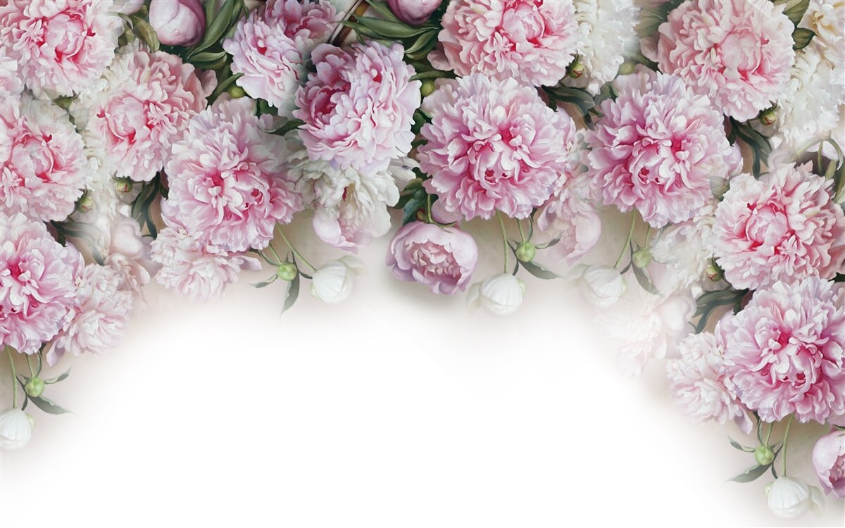 Fototapeten Blumen mit einer weißen und rosa Farbe, fallende Kaskade