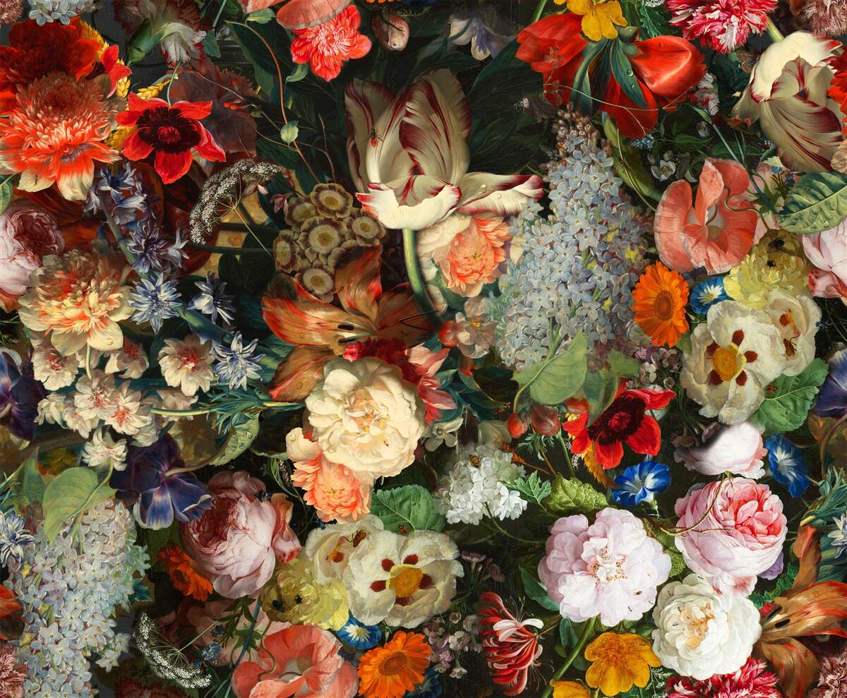Fototapeten Live -saisonale Blumen in voller Sommerblüte