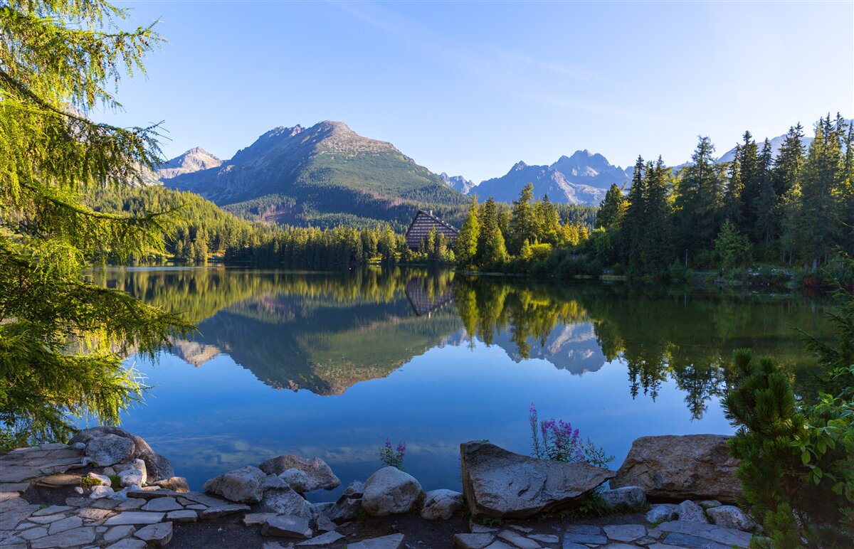 Fototapeten sonniger Tag über einem ruhigen Bergfluss