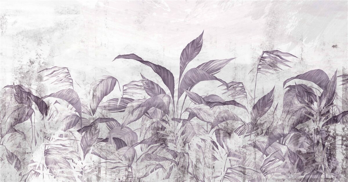 Fototapeten Bei schweren Regenfällen, tropischen Flora und Vegetation