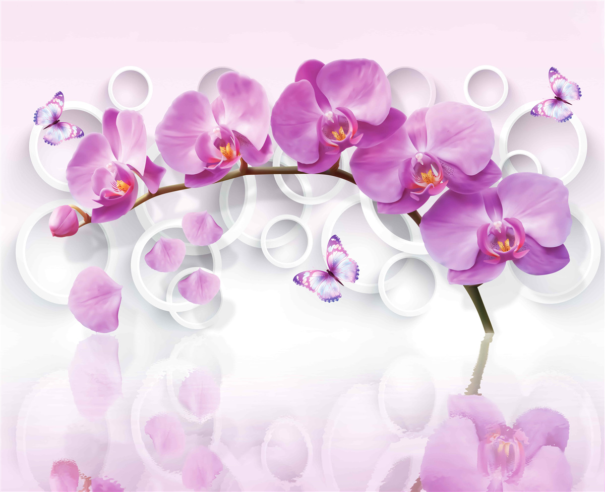 Fototapeten Ein Kofferraum einer großen Orchidee mit Blumen dekoriert
