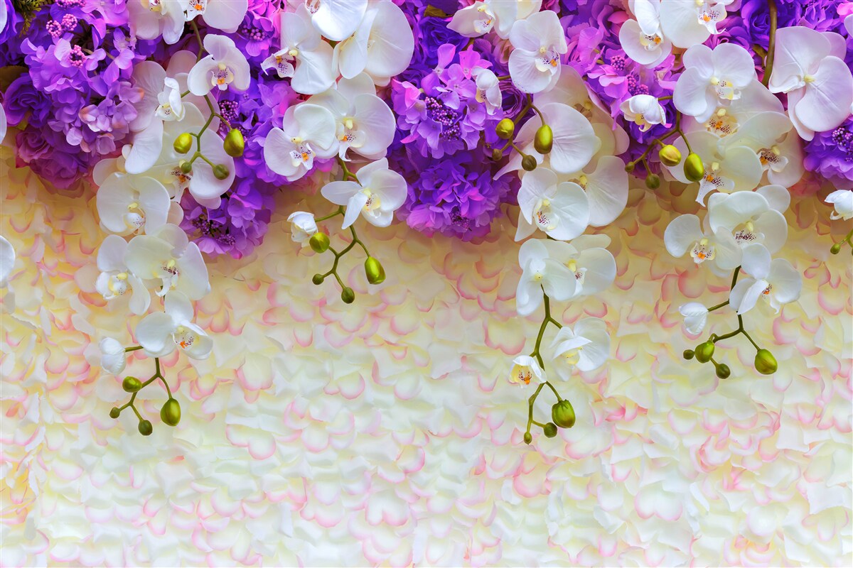 Fototapeten Schnee -White -Orchideen und lila Blüten