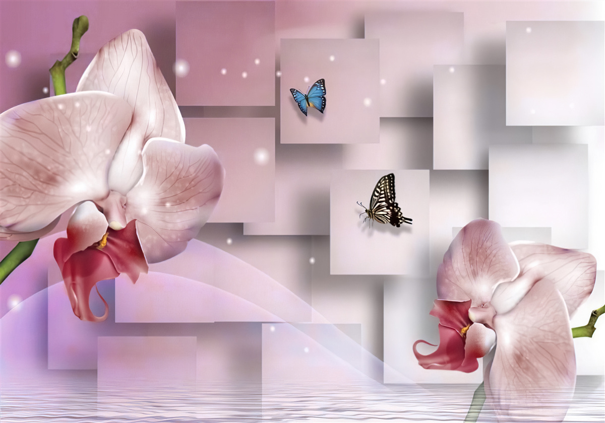 Fototapeten helle bunte Schmetterlinge und Orchideen